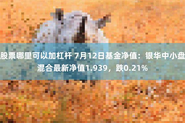 股票哪里可以加杠杆 7月12日基金净值：银华中小盘混合最新净值1.939，跌0.21%