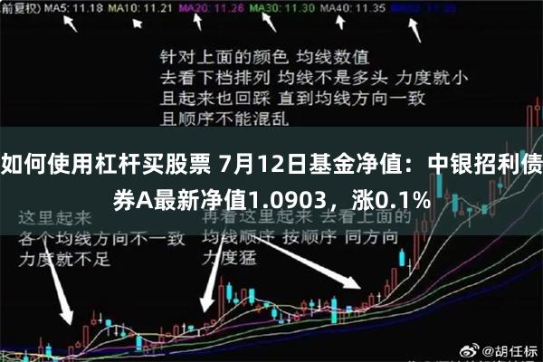 如何使用杠杆买股票 7月12日基金净值：中银招利债券A最新净值1.0903，涨0.1%