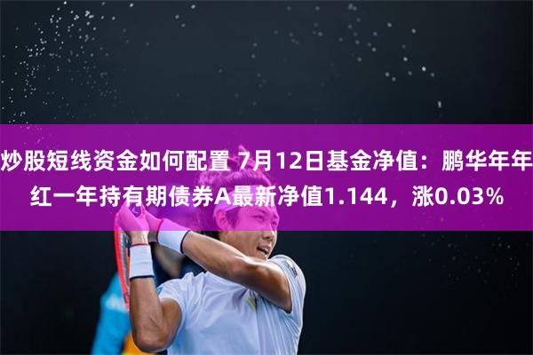 炒股短线资金如何配置 7月12日基金净值：鹏华年年红一年持有期债券A最新净值1.144，涨0.03%