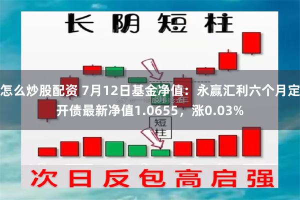 怎么炒股配资 7月12日基金净值：永赢汇利六个月定开债最新净值1.0655，涨0.03%