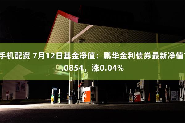 手机配资 7月12日基金净值：鹏华金利债券最新净值1.0854，涨0.04%