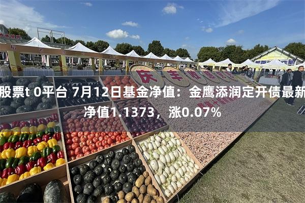 股票t 0平台 7月12日基金净值：金鹰添润定开债最新净值1.1373，涨0.07%