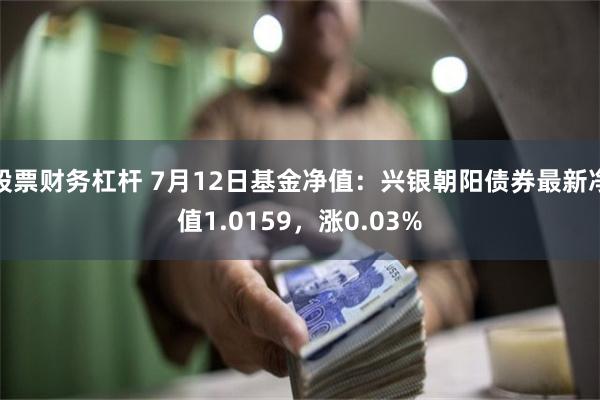 股票财务杠杆 7月12日基金净值：兴银朝阳债券最新净值1.0159，涨0.03%