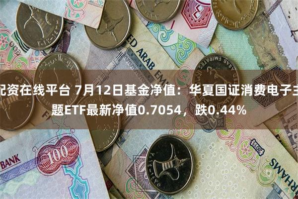 配资在线平台 7月12日基金净值：华夏国证消费电子主题ETF最新净值0.7054，跌0.44%