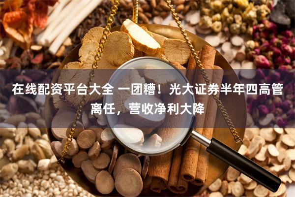 在线配资平台大全 一团糟！光大证券半年四高管离任，营收净利大降