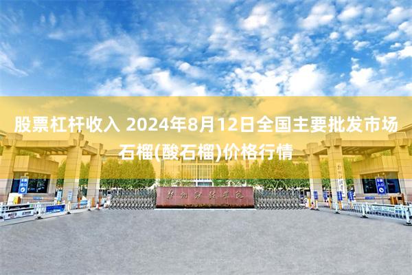 股票杠杆收入 2024年8月12日全国主要批发市场石榴(酸石榴)价格行情