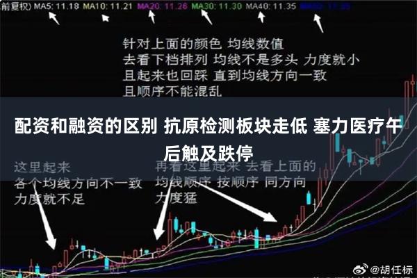 配资和融资的区别 抗原检测板块走低 塞力医疗午后触及跌停