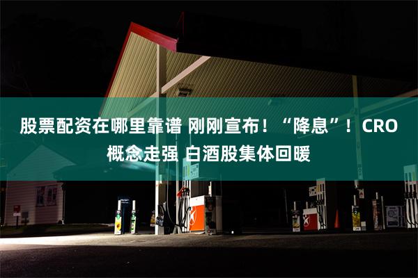 股票配资在哪里靠谱 刚刚宣布！“降息”！CRO概念走强 白酒股集体回暖