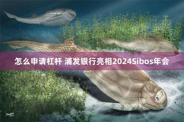 怎么申请杠杆 浦发银行亮相2024Sibos年会