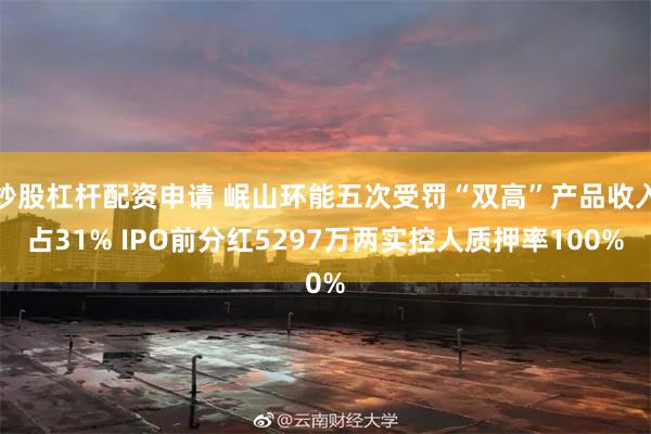 炒股杠杆配资申请 岷山环能五次受罚“双高”产品收入占31% IPO前分红5297万两实控人质押率100%