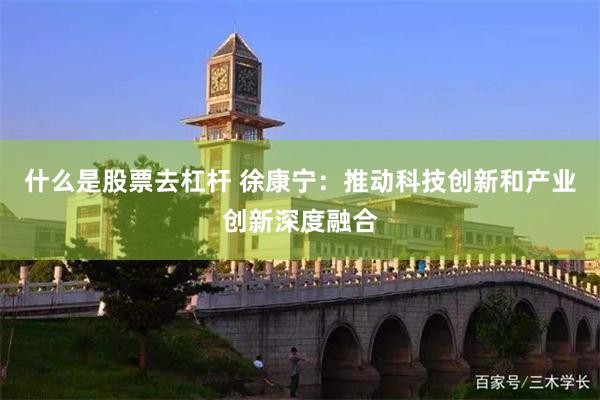 什么是股票去杠杆 徐康宁：推动科技创新和产业创新深度融合