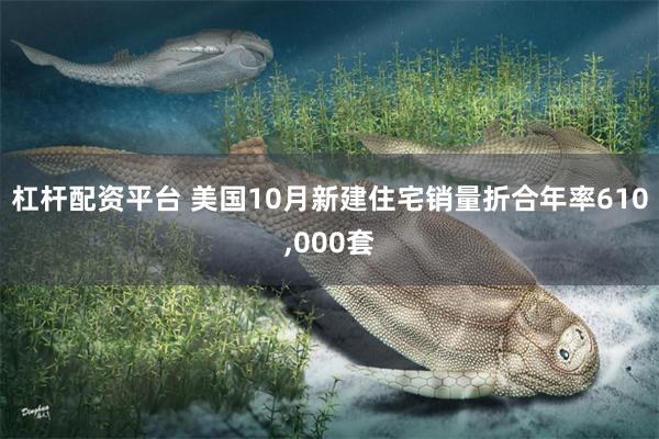 杠杆配资平台 美国10月新建住宅销量折合年率610,000套