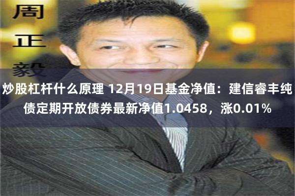 炒股杠杆什么原理 12月19日基金净值：建信睿丰纯债定期开放债券最新净值1.0458，涨0.01%