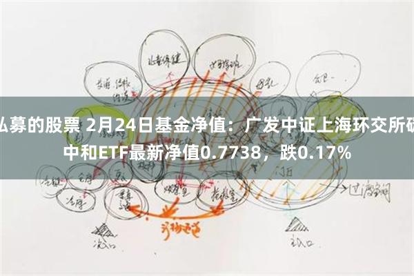 私募的股票 2月24日基金净值：广发中证上海环交所碳中和ETF最新净值0.7738，跌0.17%