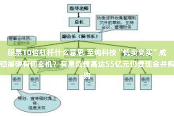 股票10倍杠杆什么意思 至纯科技“低卖高买”威顿晶磷有何玄机？有息负债高达55亿元仍要现金并购