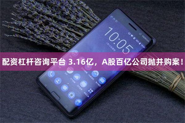 配资杠杆咨询平台 3.16亿，A股百亿公司抛并购案！