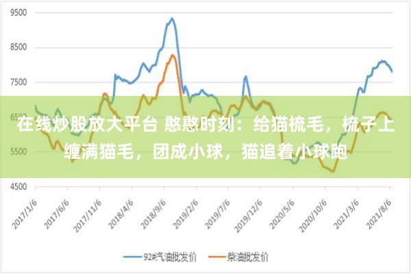 在线炒股放大平台 憨憨时刻：给猫梳毛，梳子上缠满猫毛，团成小球，猫追着小球跑